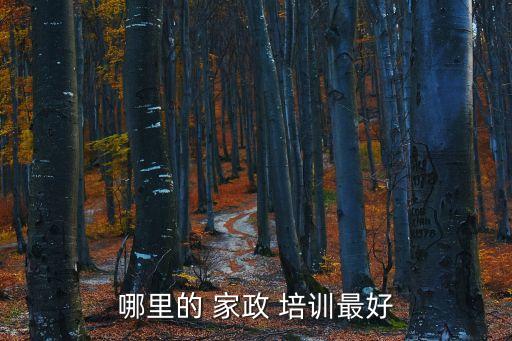 上海 家政培训证书,家政培训证书哪里发放的比较正规