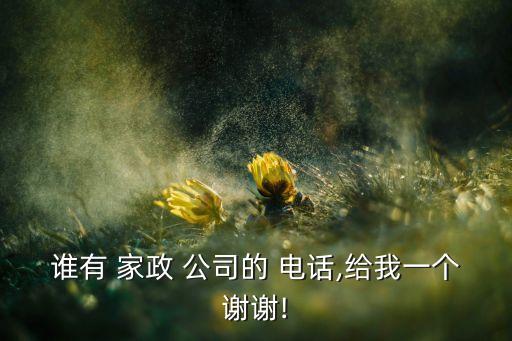 谁有 家政 公司的 电话,给我一个谢谢!