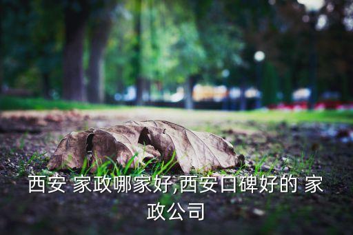 西安 家政哪家好,西安口碑好的 家政公司
