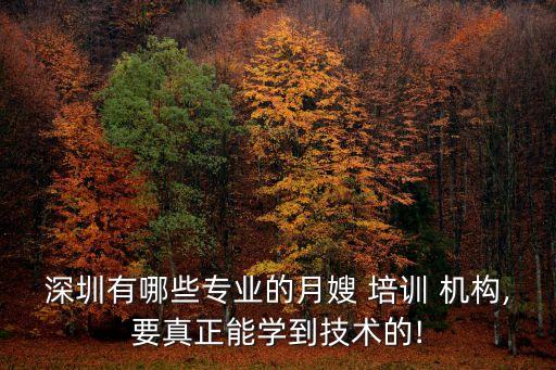 深圳有哪些专业的月嫂 培训 机构,要真正能学到技术的!