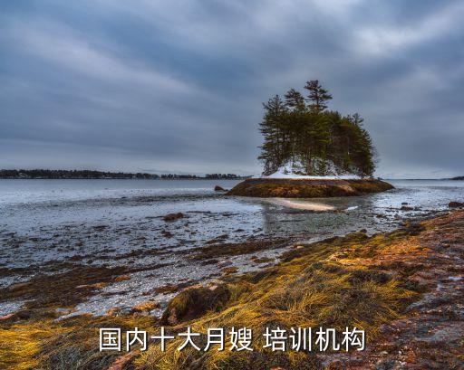 国内十大月嫂 培训机构