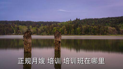 正规月嫂 培训 培训班在哪里