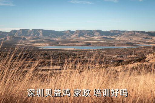 南粤家政产后修复培训,广东 南粤家政 培训