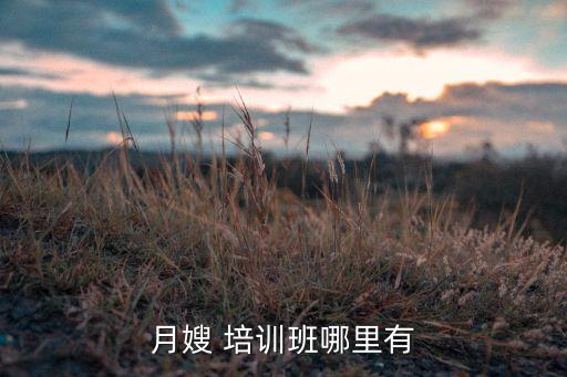 月嫂 培训班哪里有