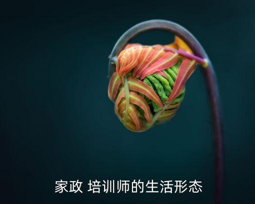 做家政培训后有工作吗