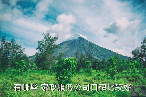 有哪些 家政服务公司口碑比较好