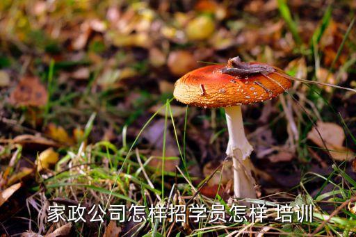 家政公司怎样招学员怎样 培训