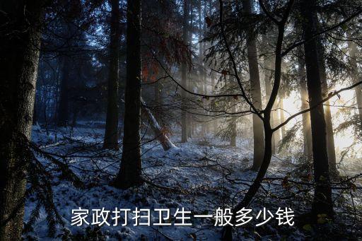 南山家政保洁收费套餐,深圳家政保洁钟点工收费价格