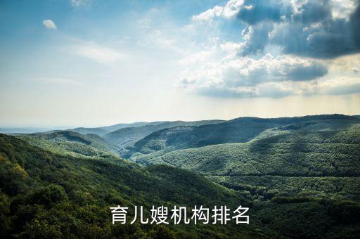 育儿嫂机构排名