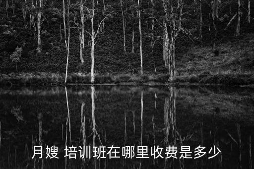月嫂 培训班在哪里收费是多少