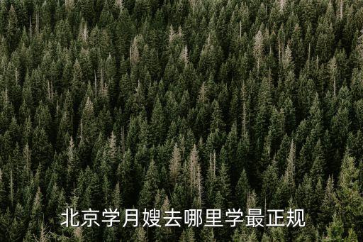  北京学月嫂去哪里学最正规
