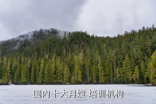 国内十大月嫂 培训机构