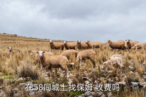 乌海家政服务收费标准,家政服务收费标准价格表