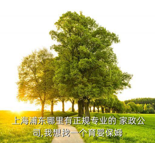 上海文化培训家政,上海排名前十的家政培训公司