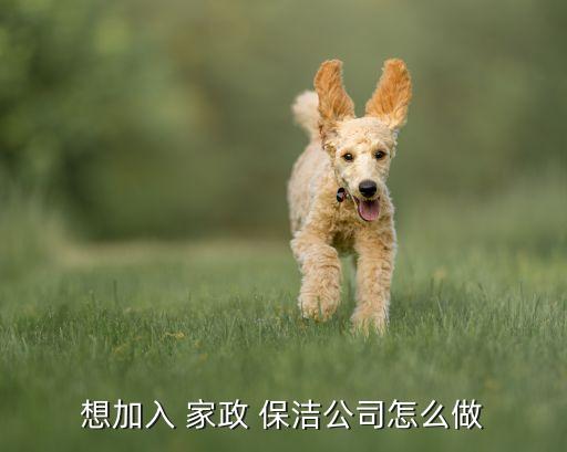 想加入 家政 保洁公司怎么做