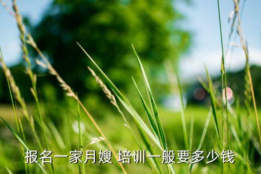 报名一家月嫂 培训一般要多少钱