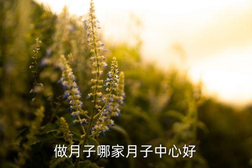 做月子哪家月子中心好