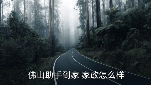  佛山助手到家 家政怎么样
