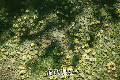  家政课程