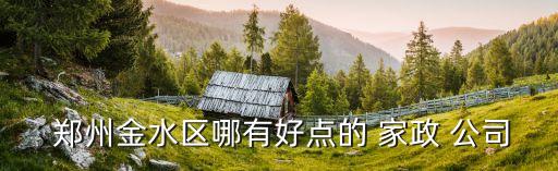  郑州金水区哪有好点的 家政 公司