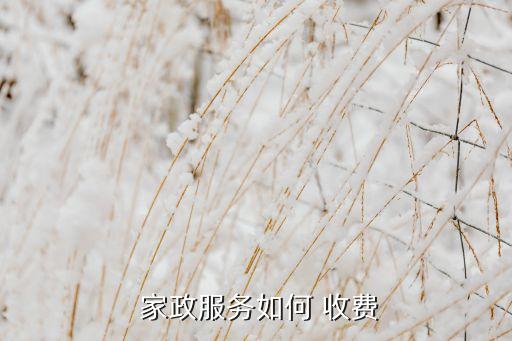 月珠国际家政要收费,上海月珠国际家政地址在什么地方