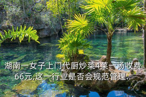 湖南一女子上门代厨炒菜4菜一汤收费66元,这一行业是否会规范管理...