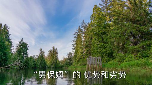 “男保姆”的 优势和劣势