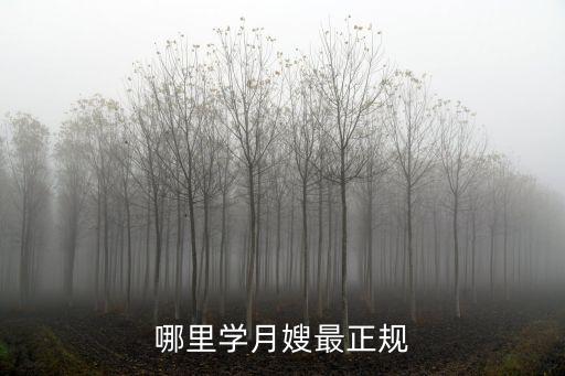 哪里学月嫂最正规