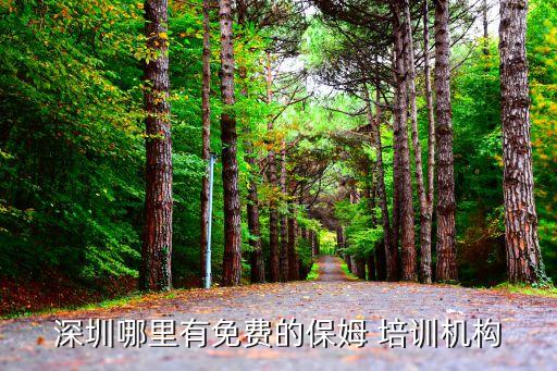 家政管家培训哪里有,家政菲佣管家培训视频