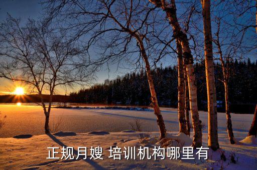 正规月嫂 培训机构哪里有