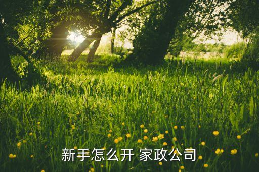 新手怎么开 家政公司