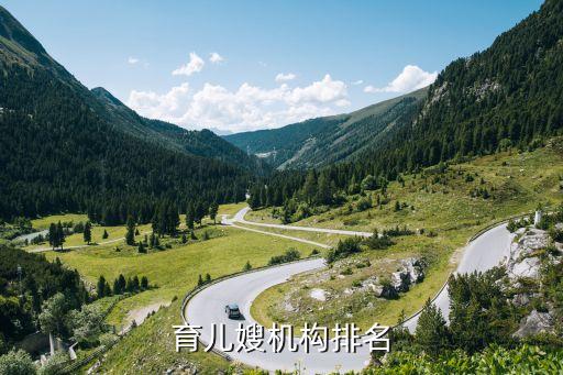 育儿嫂机构排名