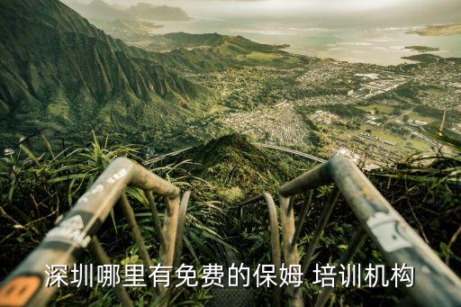 深圳哪里有免费的保姆 培训机构