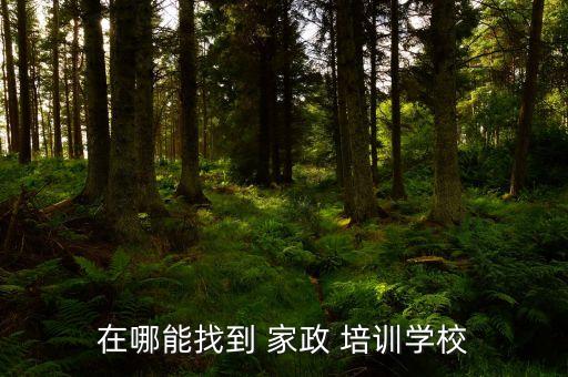 家政培训招生深圳龙岗
