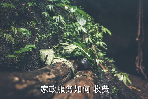  家政服务如何 收费