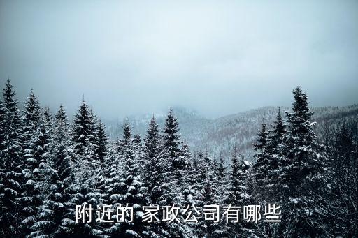 附近的 家政公司有哪些