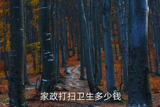  家政打扫卫生多少钱