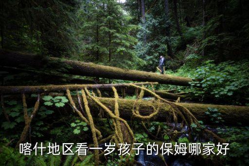 喀什地区看一岁孩子的保姆哪家好