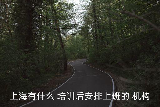 上海有什么 培训后安排上班的 机构
