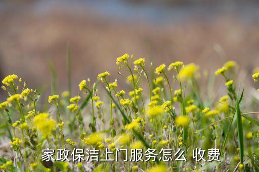  家政保洁上门服务怎么 收费