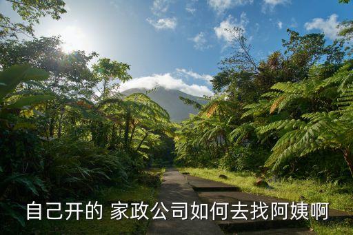 自己开的 家政公司如何去找阿姨啊