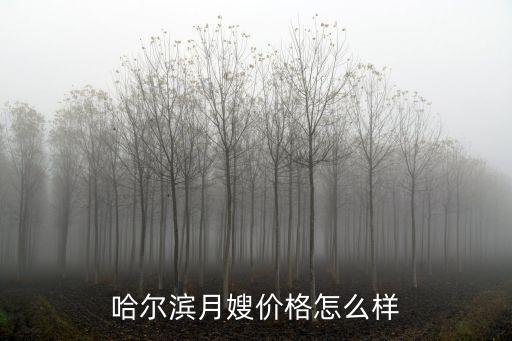 哈尔滨月嫂价格怎么样
