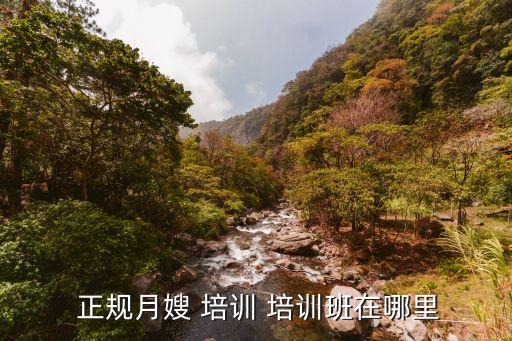  正规月嫂 培训 培训班在哪里