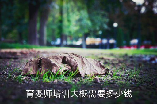 番禺家政育婴员怎么收费