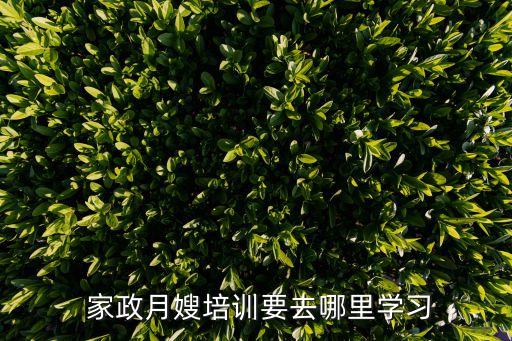  家政月嫂培训要去哪里学习