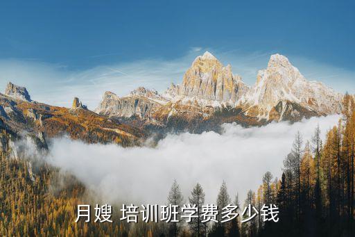 月嫂 培训班学费多少钱
