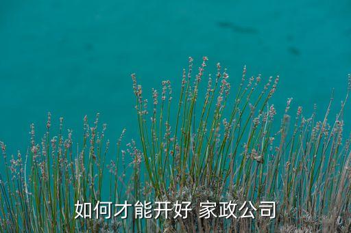 如何才能开好 家政公司