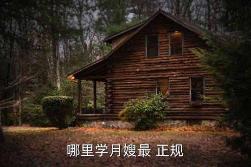 哪里学月嫂最 正规