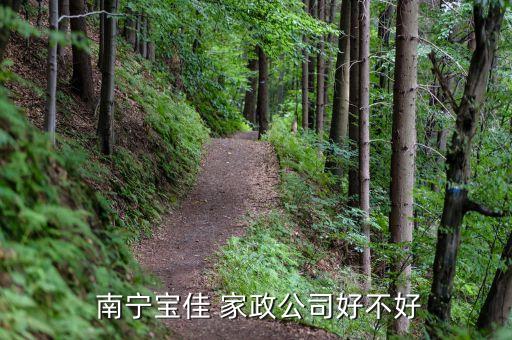  南宁宝佳 家政公司好不好