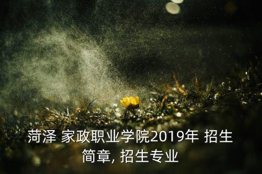 菏泽 家政职业学院2019年 招生简章, 招生专业